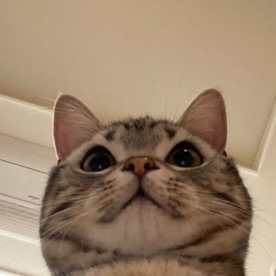 𝐉𝐞𝐲𝐬𝐢さんのプロフィール画像
