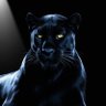 DeKalbPanthers's profile picture. PGD includes but is not limited to Lithonia, Decatur, Stone Mountain, Tucker, Dunwoody, Ellenwood, and East Atlanta. We are a chapter without borders!
