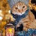 cats of Los Angels ,usa (@catsoflosangels) Twitter profile photo cats of Los Angels ,usa (@catsoflosangels) Twitter profile photo
