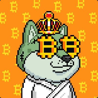 xaxi8626's profile picture. lup mas elon