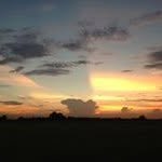 uz4530zzr's profile picture. 