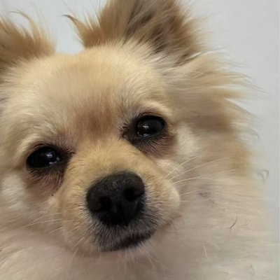YCriss11's profile picture. |CryplexAI|