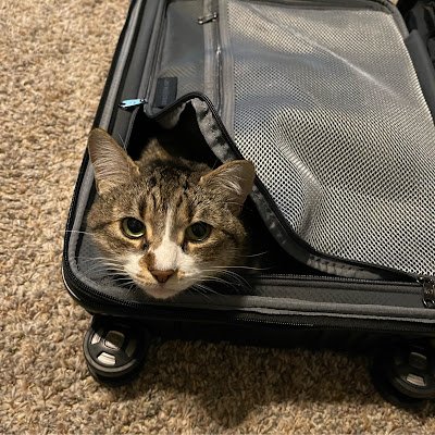 danaKelly85's profile picture. You stink. Go take a shower and floss.