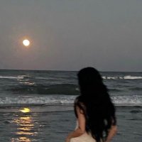 Sahar (@stlli3) 's Twitter Profile