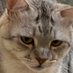 คะ (@yiprontanava) Twitter profile photo คะ (@yiprontanava) Twitter profile photo