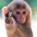 🖕🏼👁🫦👁🖕🏼 (@tuangelitaxo) Twitter profile photo 🖕🏼👁🫦👁🖕🏼 (@tuangelitaxo) Twitter profile photo