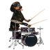 두럼견 (@drumgyun) Twitter profile photo 두럼견 (@drumgyun) Twitter profile photo