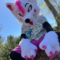 Aaron Foxxo (@aaronfoxxo) 's Twitter Profile