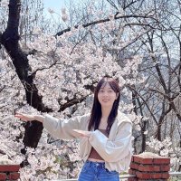 lauren 나은 (@potetotes) 's Twitter Profile