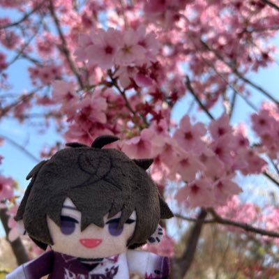 20↑社会人/お取引専用垢/周辺B済/お別れはB解でお願いします🙇‍♀️  最近通知が来ずリプに気づいていない場合がございます。 2日たっても返信がない場合は再度ご連絡ください