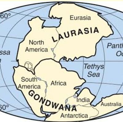 NaretiAjay24929's profile picture. 