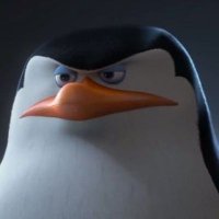 Skipper of Web3 (@skipperofweb3) 's Twitter Profile Photo Skipper of Web3 (@skipperofweb3) 's Twitter Profile Photo