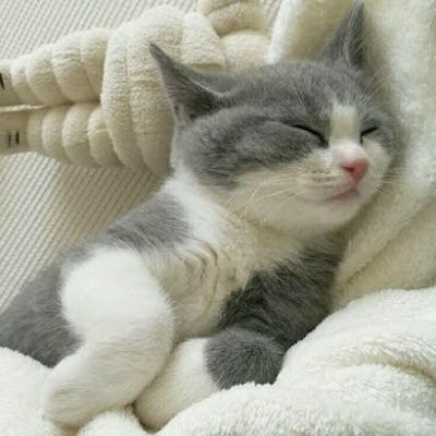 dou_mao51361's profile picture. 