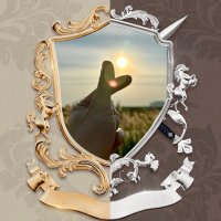 BomJJKeep5 (@bomjjkeep5) 's Twitter Profile