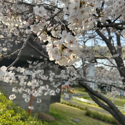 KTWH5MNLLr911's profile picture. 