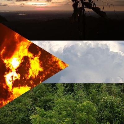 ahsxn376565's profile picture. 