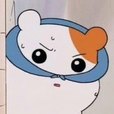 🎗도시너구리🐾さんのプロフィール画像