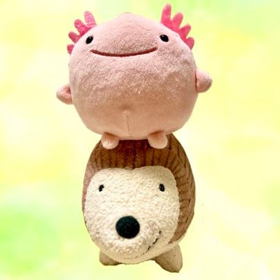 ふ～たんさんのプロフィール画像