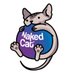 Naked Cat Plugins (@nakedcatplugins) Twitter profile photo Naked Cat Plugins (@nakedcatplugins) Twitter profile photo