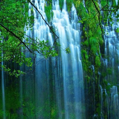 shunjinyan's profile picture. 