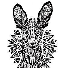 ____54_____'s profile picture. For me, it is far better to grasp the Universe as it really is than to persist in delusion, however satisfying and reassuring.
-Carl Sagan