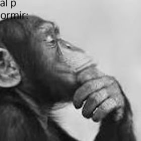 Lipwzeraa's profile picture. 