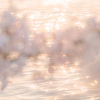 Ribbon (@ha_eclipse) 's Twitter Profile Photo Ribbon (@ha_eclipse) 's Twitter Profile Photo