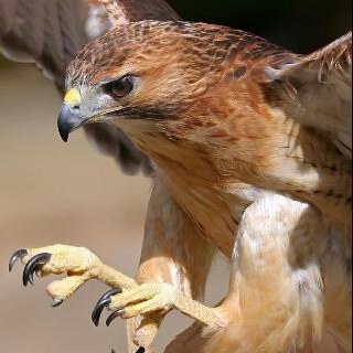 佐々木翔吾選手、ありがとうございました！ 新天地でも弾丸パス披露し