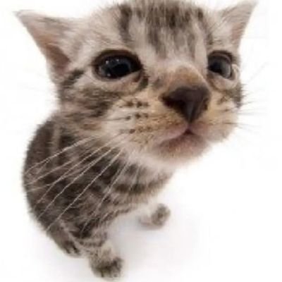 jhonnydepthy's profile picture. somebody’s sex toy