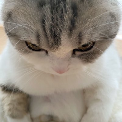 mnnink2's profile picture. สาขา2 ของ @mn_iink