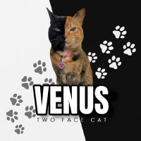 Venus2face (@venus2facebsc) 's Twitter Profile