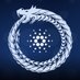 Cardano to 35$ (@wheerusgdxk) Twitter profile photo Cardano to 35$ (@wheerusgdxk) Twitter profile photo