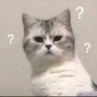 C π§π» (@kissofbops) 's Twitter Profile