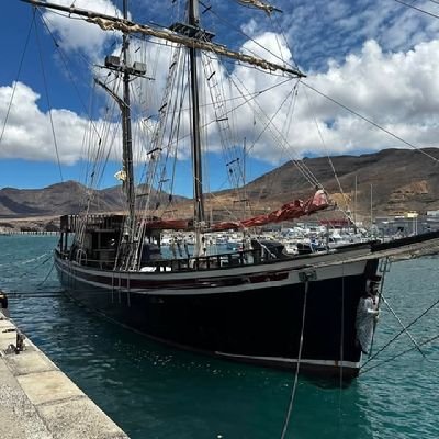 Paul765100's profile picture. 