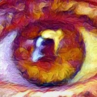 Sandra G. 🇩🇪☀️🍹 (@sunnyge75) 's Twitter Profile Photo Sandra G. 🇩🇪☀️🍹 (@sunnyge75) 's Twitter Profile Photo