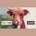 Vegan Diyebilirsiniz (@vegandiyebilirs) Twitter profile photo Vegan Diyebilirsiniz (@vegandiyebilirs) Twitter profile photo