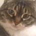 Deniz (@deniz0624) Twitter profile photo Deniz (@deniz0624) Twitter profile photo