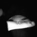 iloveyouright (@kaloimutbilang) Twitter profile photo iloveyouright (@kaloimutbilang) Twitter profile photo