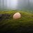 BrokenEgg4u's profile image