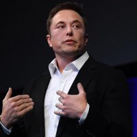 Elonmuskreve (@elonmuskreve__0) 's Twitter Profile