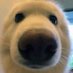 ชอคโก้มิ้นโต๊ะ โยริโมะอานะต๊ะ (@vbl4ltum0yiowoh) Twitter profile photo ชอคโก้มิ้นโต๊ะ โยริโมะอานะต๊ะ (@vbl4ltum0yiowoh) Twitter profile photo