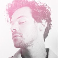 Harry Styles Brasil (@harrybr) 's Twitter Profile