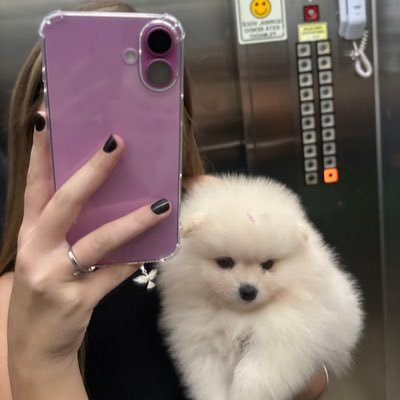 aalmeidaka's profile picture. 🫨🤯