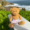 TravelTeddy3's profile picture. I’m Teddy Edward. I ❤️ snacks, treats, snoozing, fruit yoga,travelling & baking. Proud 3 x winner of #StuffieBakeOff.