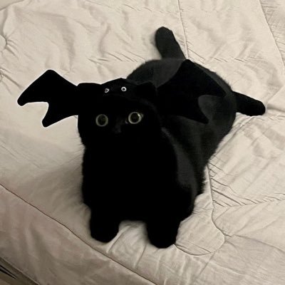 OMGx999's profile picture. @joelkatz ——HOLDER ! 🐈‍⬛ 💕