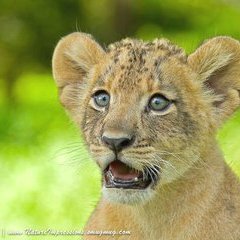 TSY418GP's profile picture. Dynamic, extrovert and fun loving