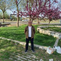Cemal Damar (@cemaldamar61384) 's Twitter Profile