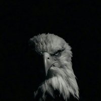 settzyn (@settcs) 's Twitter Profile