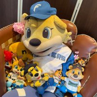 RN こぐまのヤス (@yasu_of_cubby_7) Twitter profile photo