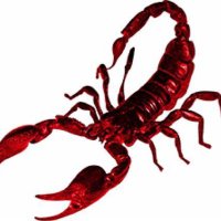 Auld Scorpio🦂🥃🦂 (@auld_scorpio) 's Twitter Profile